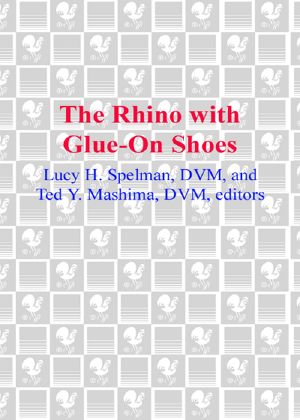 The Rhino with Glue-On Shoes