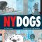 Ny Dogs