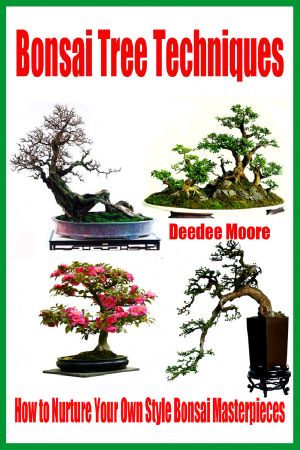 Bonsai Tree Techniques