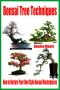 Bonsai Tree Techniques