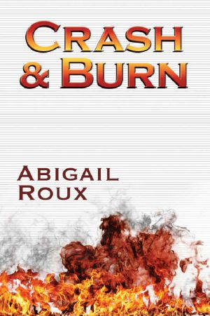 Crash & Burn (Cut & Run Book 9)