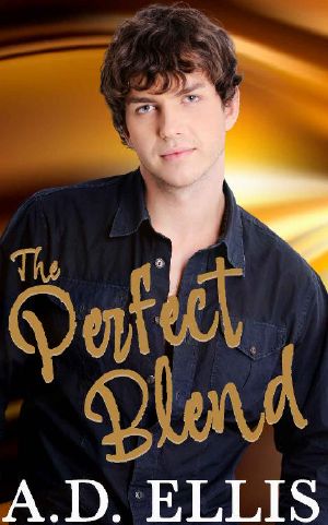 The Perfect Blend: A steamy, M/M age-gap, marriage of convenience, coffee shop romance (A Small-Town Briarton Romance)