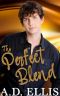 The Perfect Blend: A steamy, M/M age-gap, marriage of convenience, coffee shop romance (A Small-Town Briarton Romance)