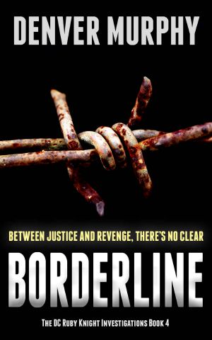 Borderline: revenge battles justice in this gripping crime thriller (The DC Ruby Knight Investigations Book 4)