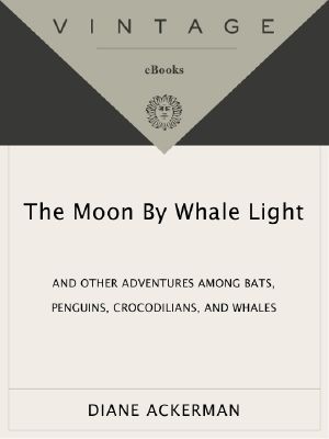 The Moon by Whale Light