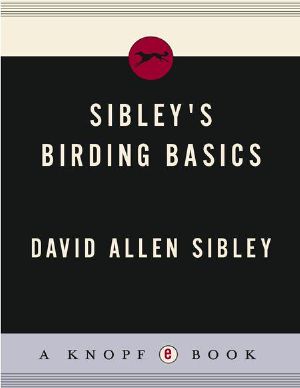 Sibley's Birding Basics