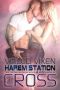 Veiled Vixen · Sci-Fi Alien Romance (Harem Station Book 6)