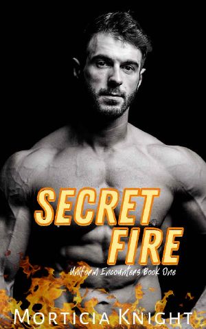 Secret Fire: An M/M Grumpy/Sunshine Romance