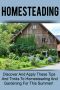 Homesteading - Discover and Apply These Tips and Tricks to Homesteading and Gardening for This Summer!