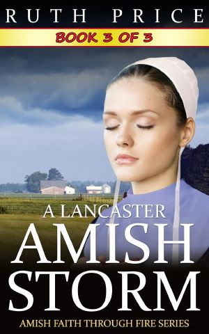 A Lancaster Amish Storm--Book 3