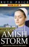 A Lancaster Amish Storm--Book 3