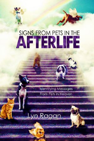 Signs From Pets In the Afterlife