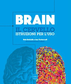 Brain. Il cervello. Istruzioni per l'uso