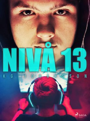 Nivå 13