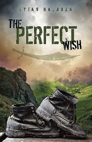 The Perfect Wish