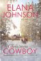 Christmas Cowboy · A Mulbury Boys Novel (Hope Eternal Ranch Romance Book 4)