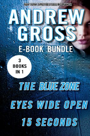 Andrew Gross Thriller Bundle