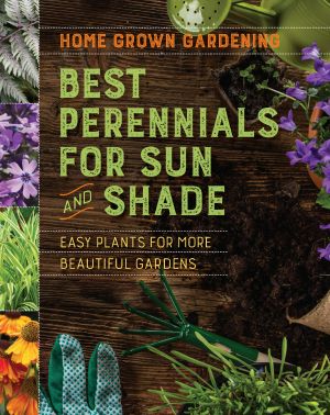 Best Perennials for Sun and Shade