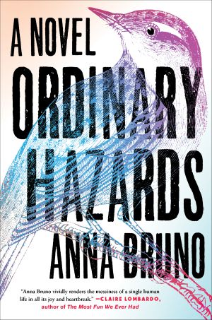 Ordinary Hazards · A Novel, A Novel