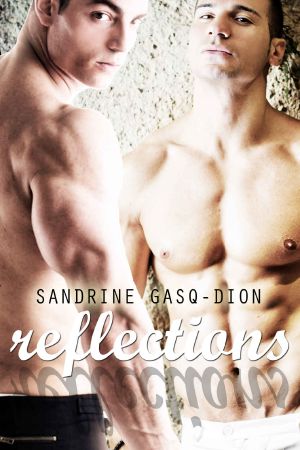 Reflections · the Santorno Series Book 6