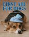 First Aid for Dogs