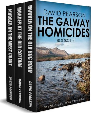 The Galway Homicides · Box Set 1-3