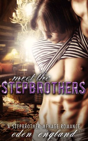 Meet the Stepbrothers