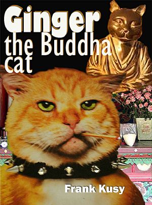 Ginger the Buddha Cat