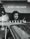 Avelum (A Survey of the Current Press and a Few Love Affairs)