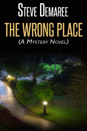 The Wrong Place (A Mystery Novel)