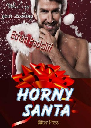 Horny Santa