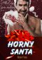 Horny Santa