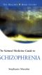 The Natural Medicine Guide to Schizophrenia (Healthy Mind Guides)